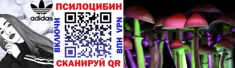 blacksprut tor  darknet клад  Галлюциногенные грибы Cubensis  Среднеколымск 
